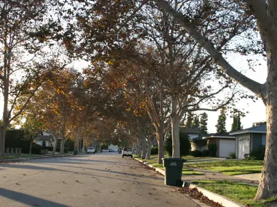 Residential street with no cars
